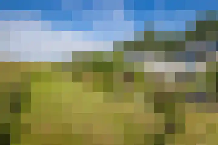 Tolgaarderserf 20 Houten thumbnail 60