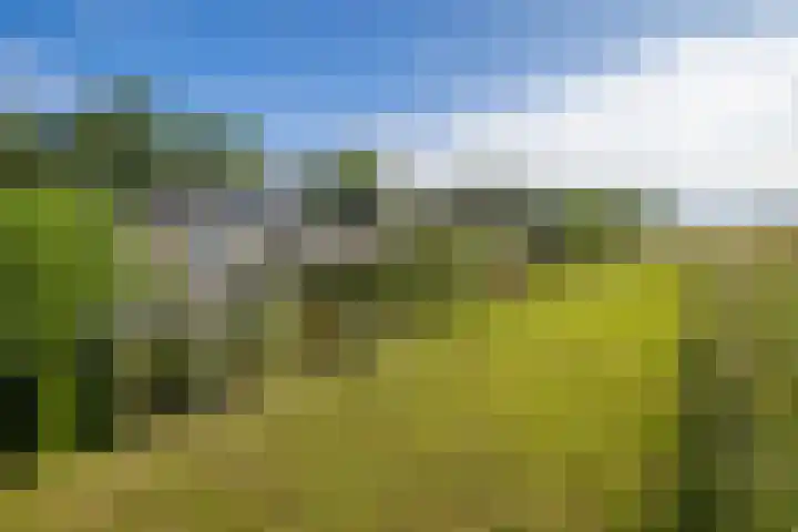 Tolgaarderserf 20 Houten thumbnail 61