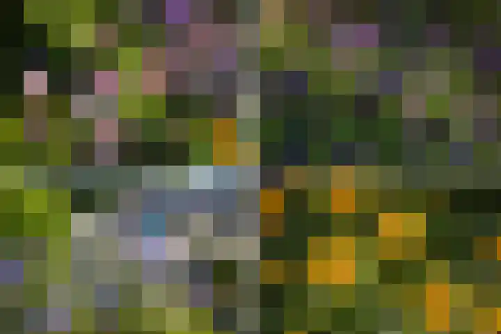 Tolgaarderserf 20 Houten thumbnail 62