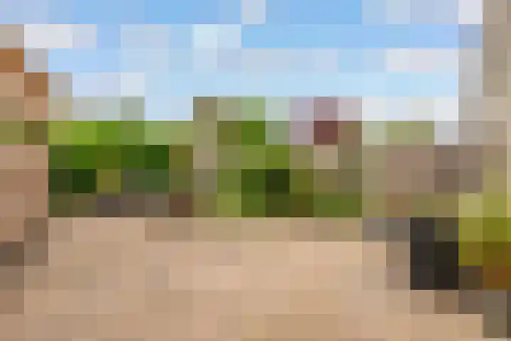 Tolgaarderserf 23 Houten thumbnail 28