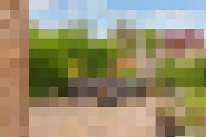 Tolgaarderserf 23 Houten thumbnail 29