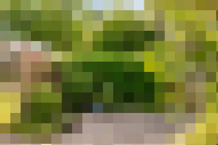 Tolgaarderserf 23 Houten thumbnail 31