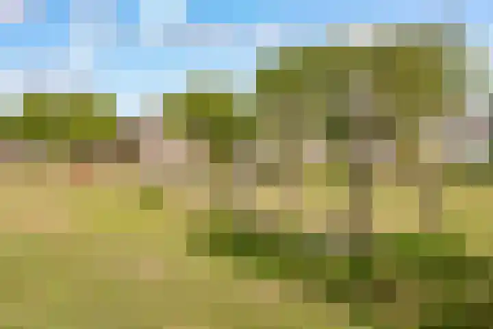 Tolgaarderserf 23 Houten thumbnail 32