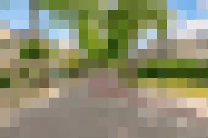 Tolgaarderserf 23 Houten thumbnail 33
