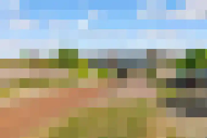 Tolgaarderserf 23 Houten thumbnail 34