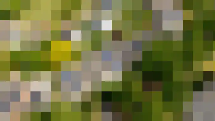 Tolgaarderserf 23 Houten thumbnail 35
