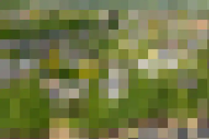 Tolgaarderserf 23 Houten thumbnail 36