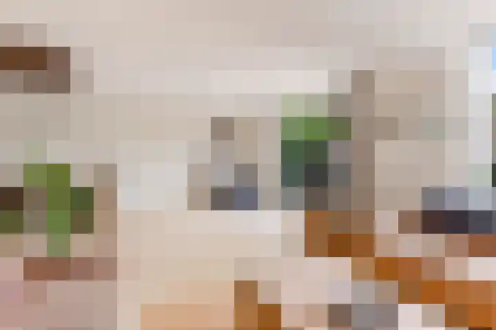 Tolgaarderserf 23 Houten thumbnail 6