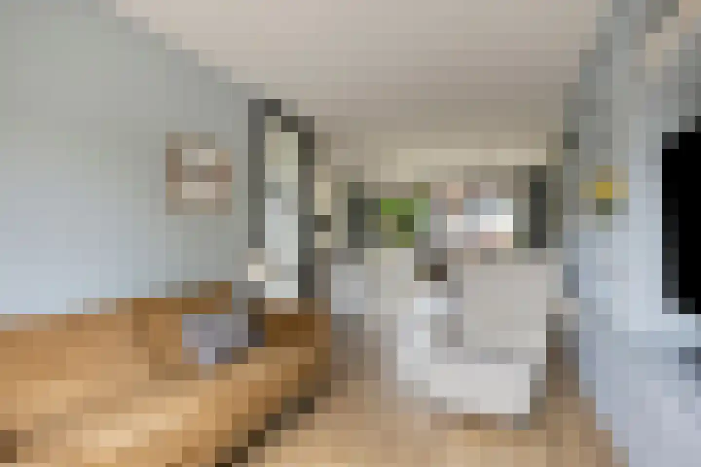 Tolgaarderstraat 16 Zwolle thumbnail 7