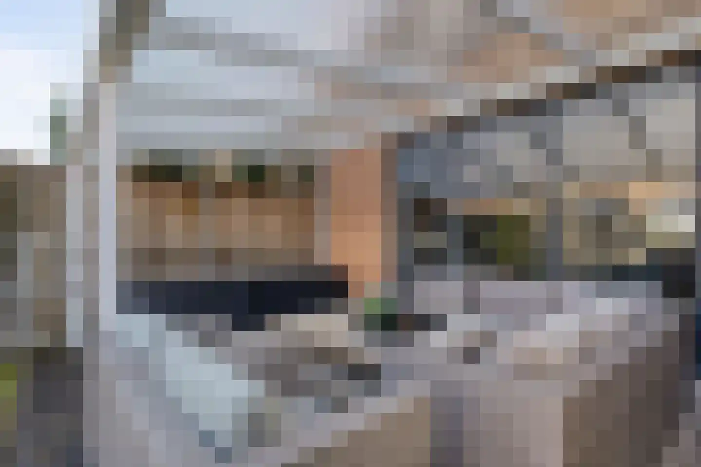 Tolgaarderstraat 40 Zwolle thumbnail 38