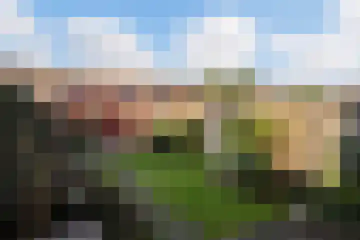 Tolgaarderstraat 62 Zwolle thumbnail 31