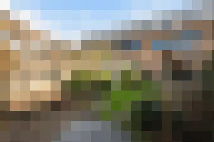 Tolgaarderstraat 62 Zwolle thumbnail 32