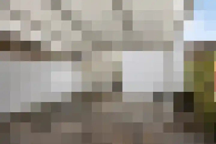 Tolgaarderwaard 23 Arnhem thumbnail 36