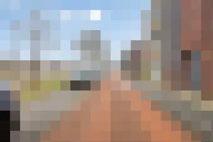 Tolgaarderwaard 23 Arnhem thumbnail 43