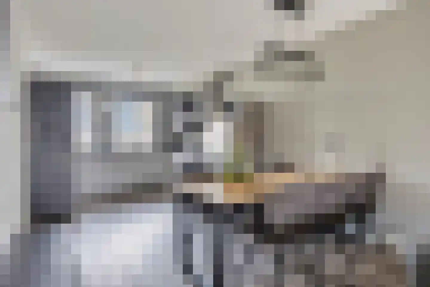 Tolhek 26 IJsselmuiden thumbnail 19