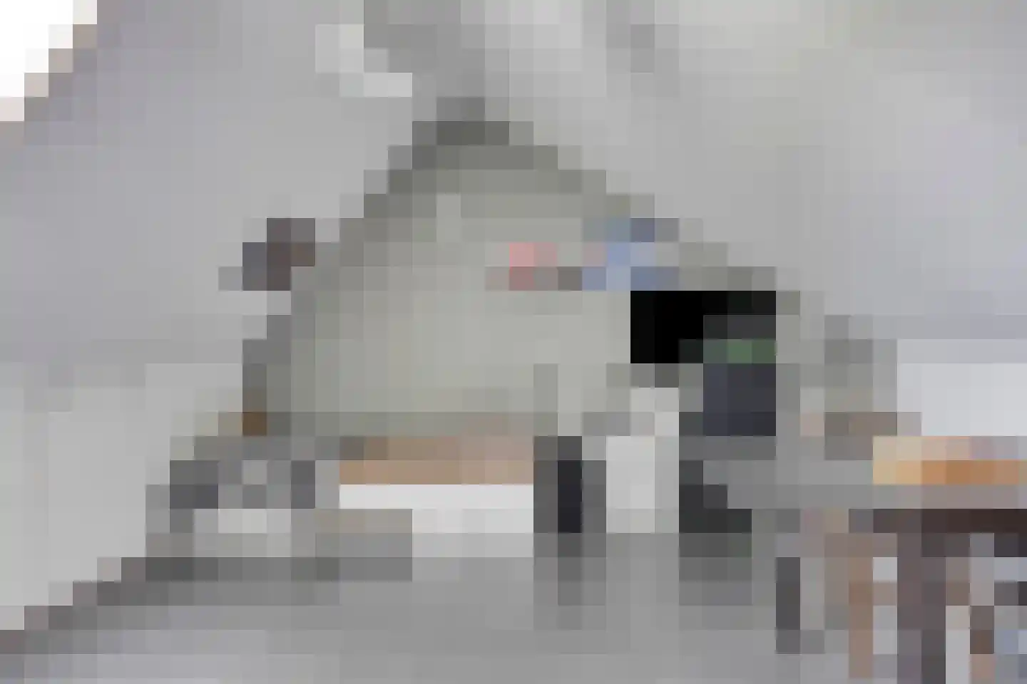 Tolhek 26 IJsselmuiden thumbnail 35