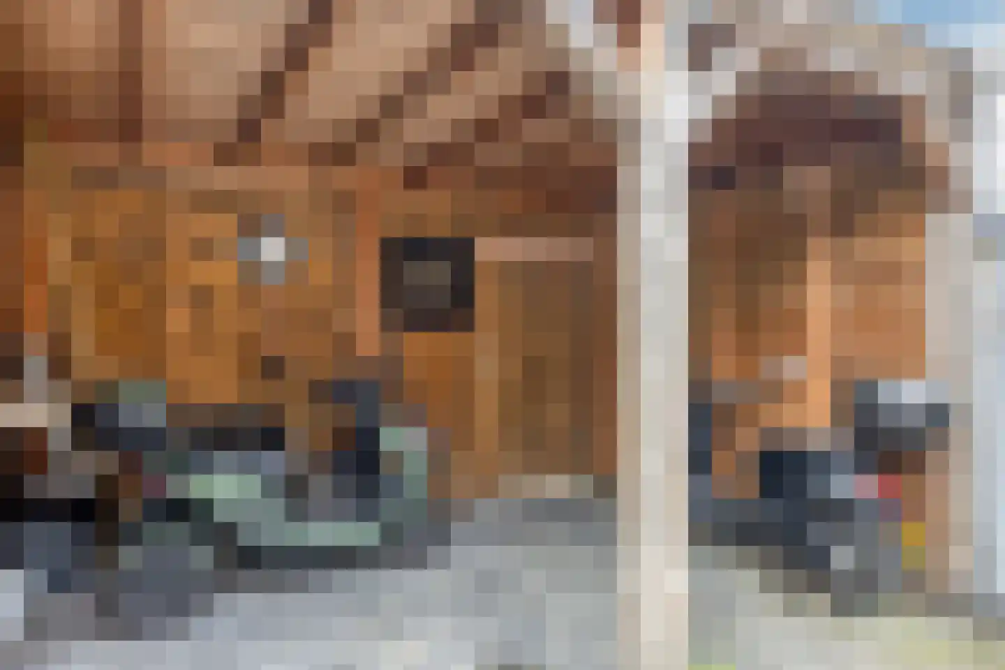 Tolhek 26 IJsselmuiden thumbnail 40