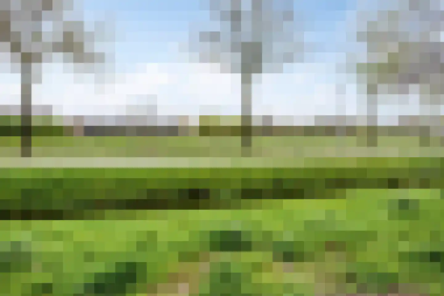 Tolhek 26 IJsselmuiden thumbnail 44
