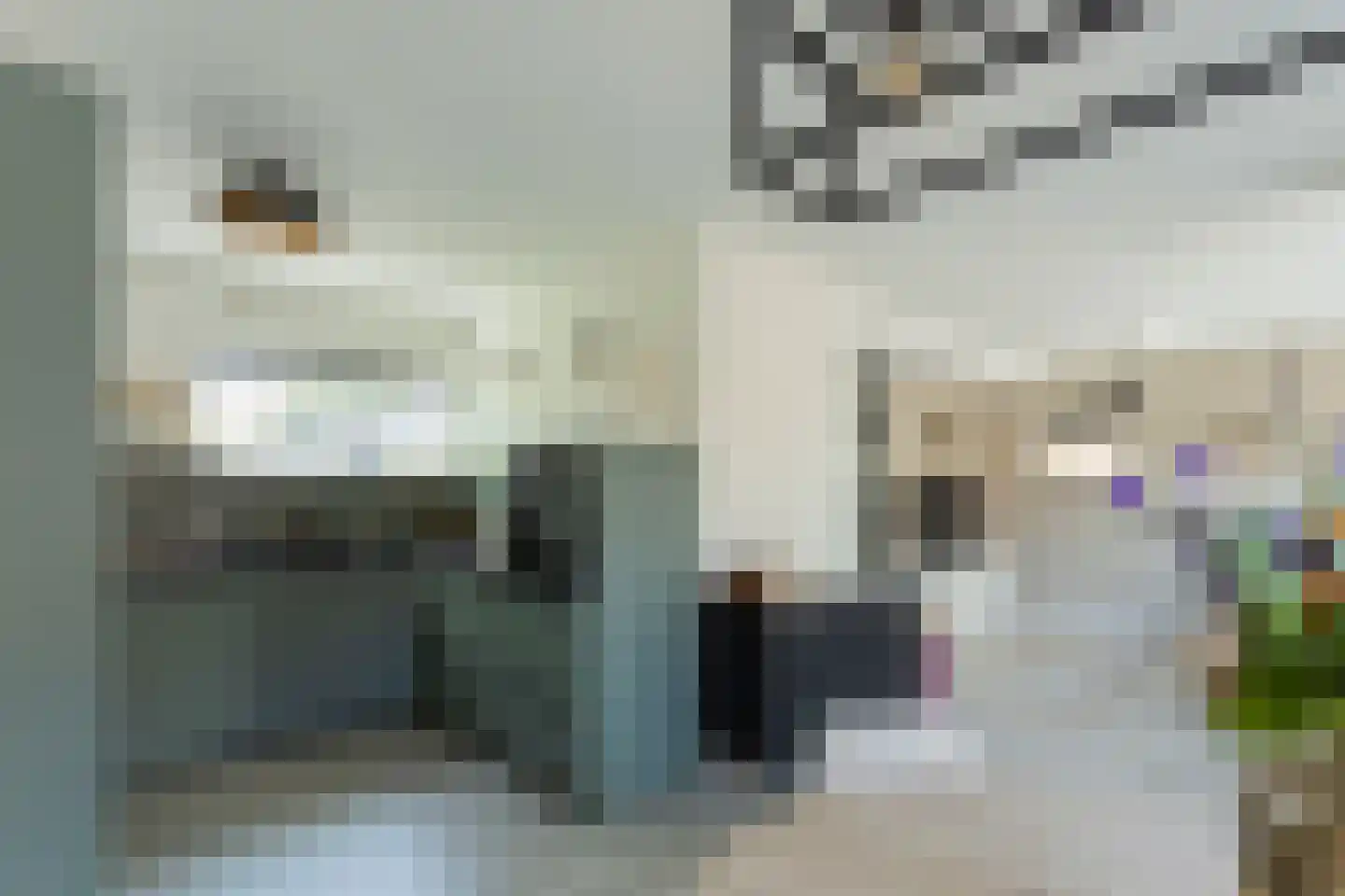 Tolheksbos 170 Hoofddorp thumbnail 11