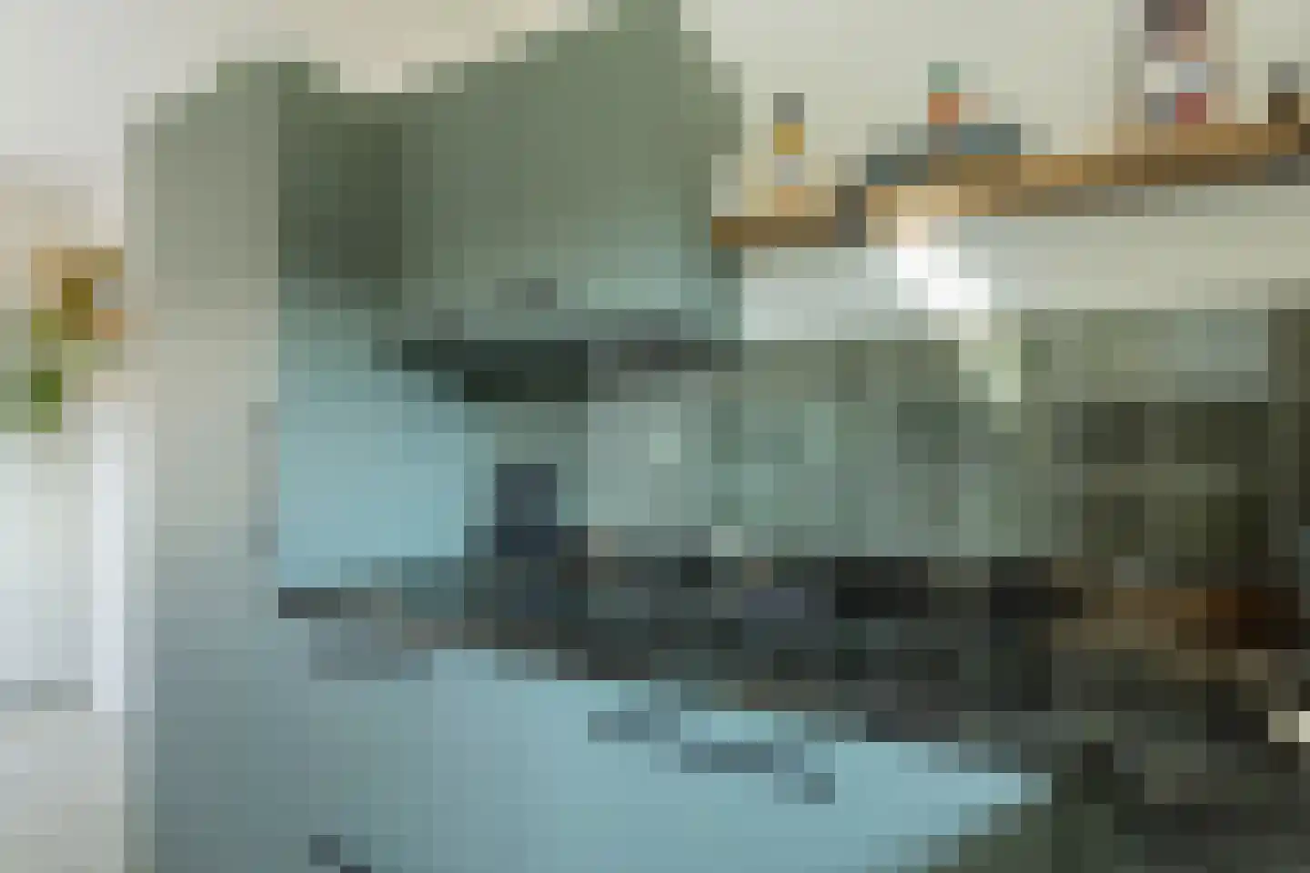 Tolheksbos 170 Hoofddorp thumbnail 15