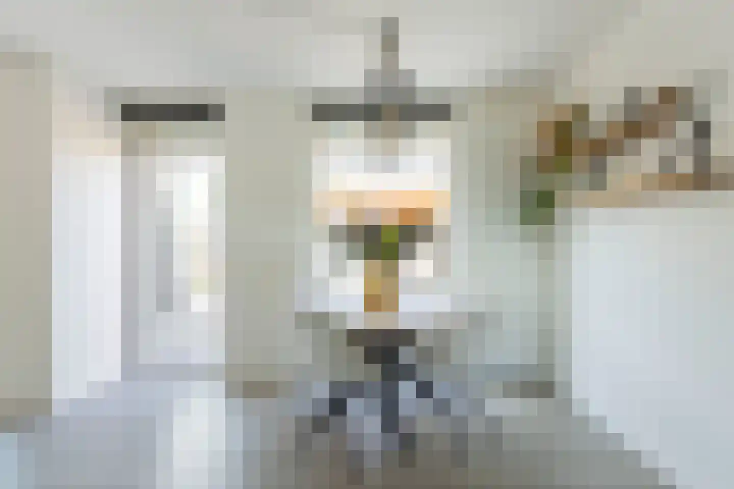 Tolheksbos 170 Hoofddorp thumbnail 16