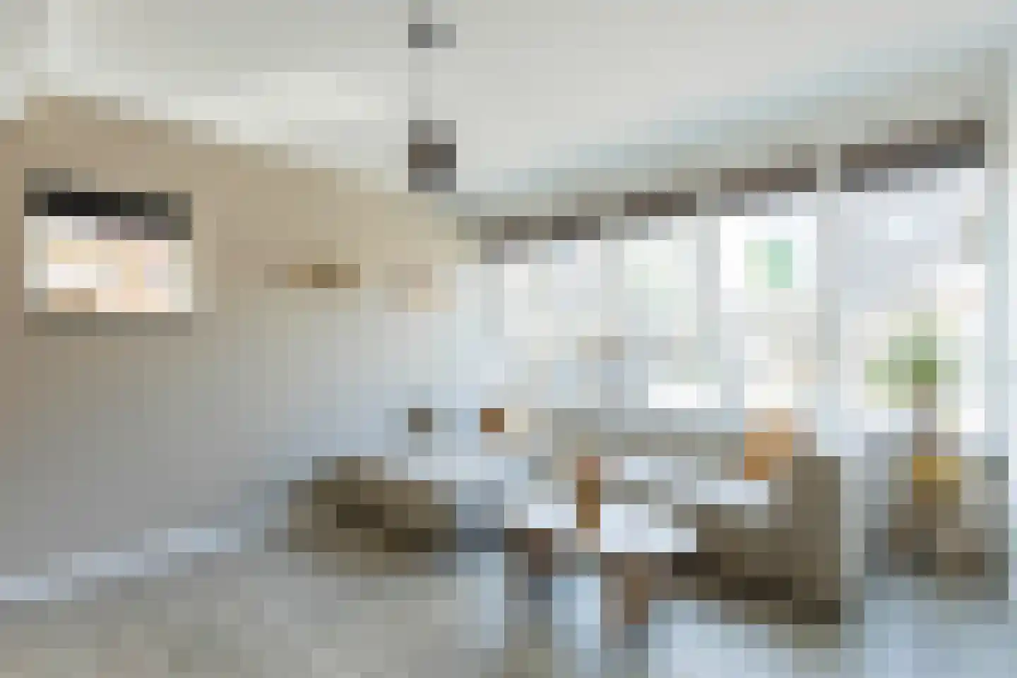 Tolheksbos 170 Hoofddorp thumbnail 18