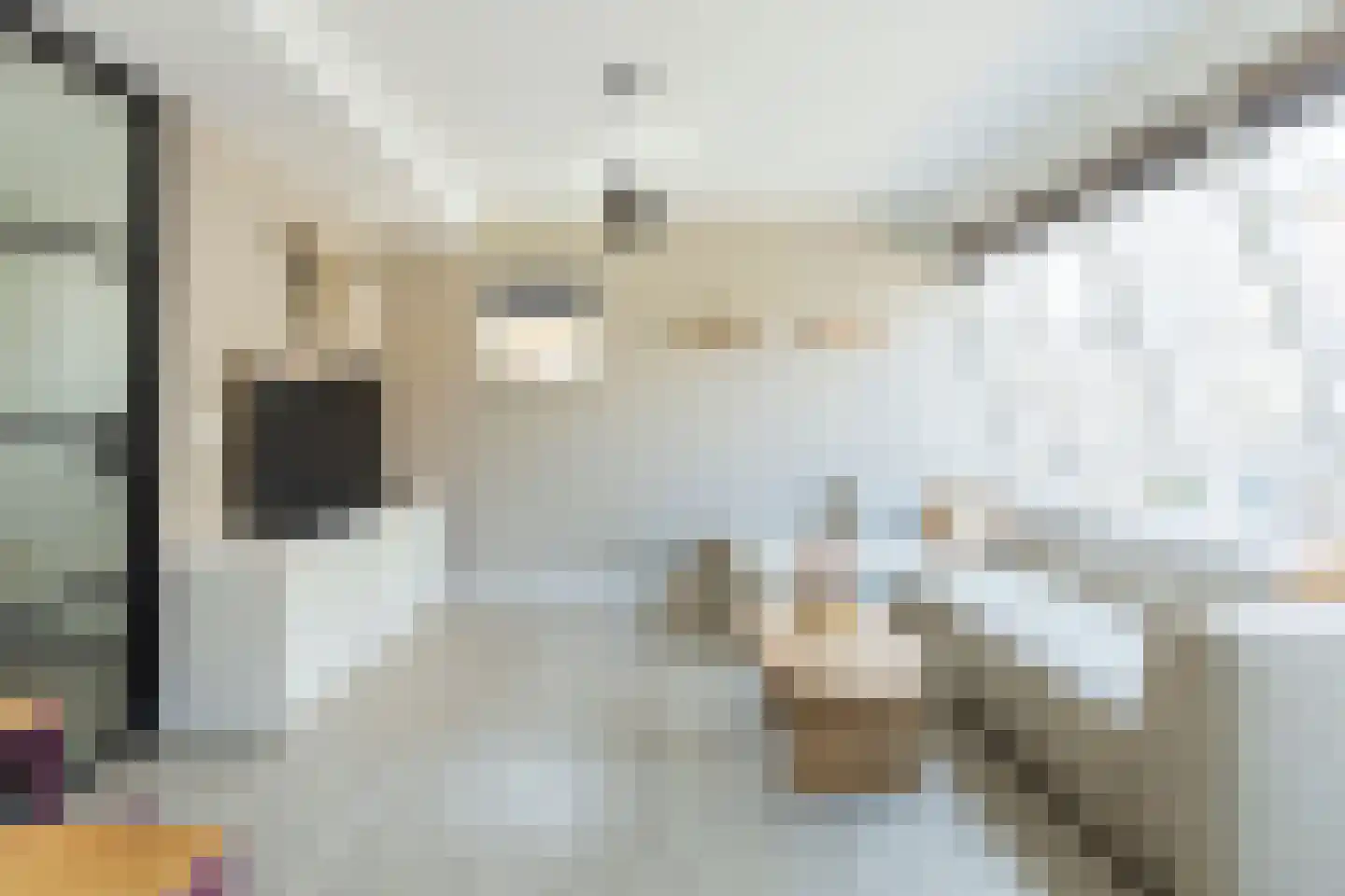 Tolheksbos 170 Hoofddorp thumbnail 19