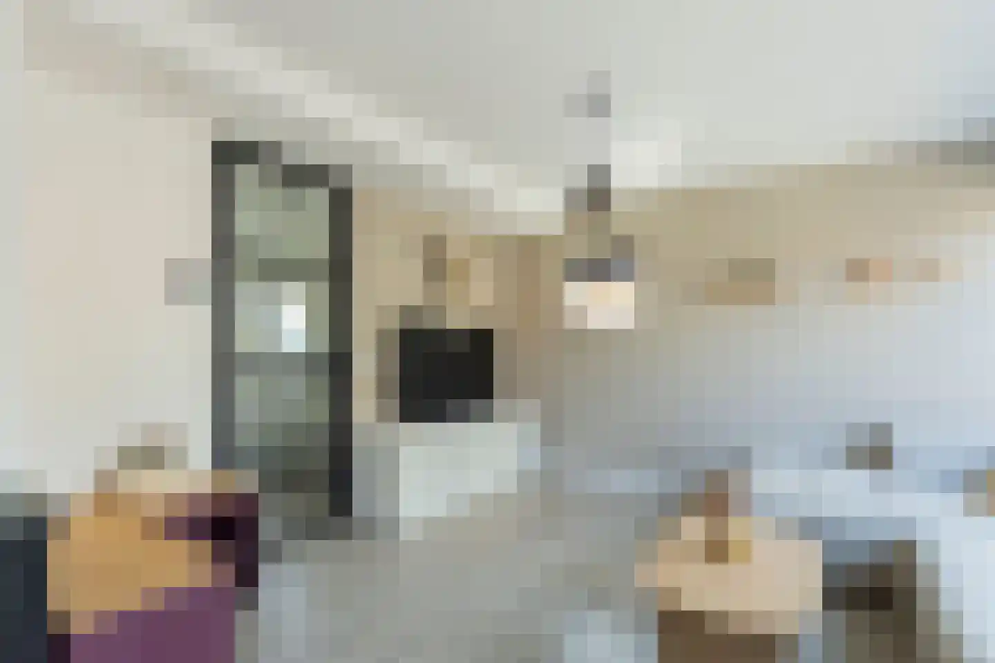 Tolheksbos 170 Hoofddorp thumbnail 20