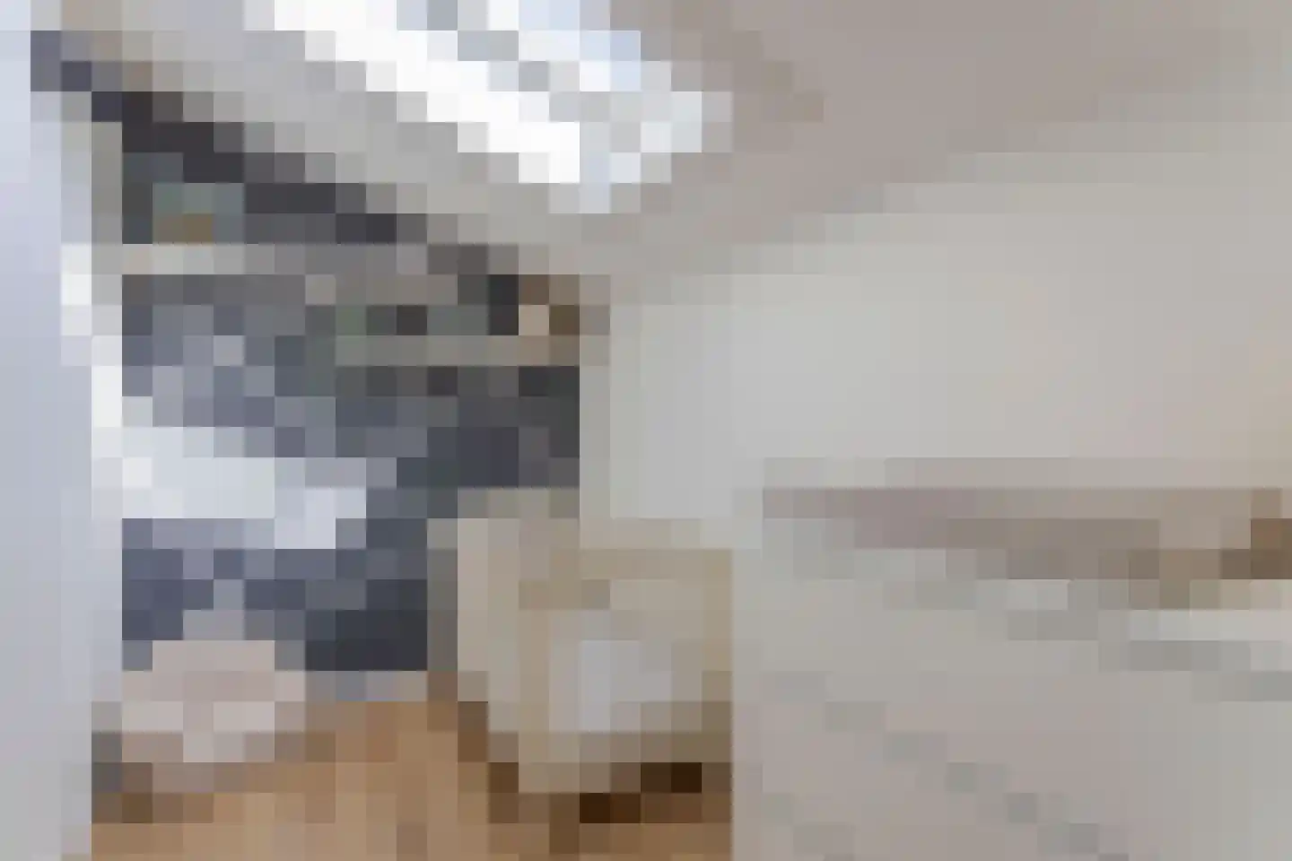 Tolheksbos 170 Hoofddorp thumbnail 25
