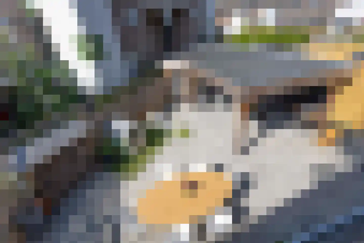 Tolheksbos 170 Hoofddorp thumbnail 37