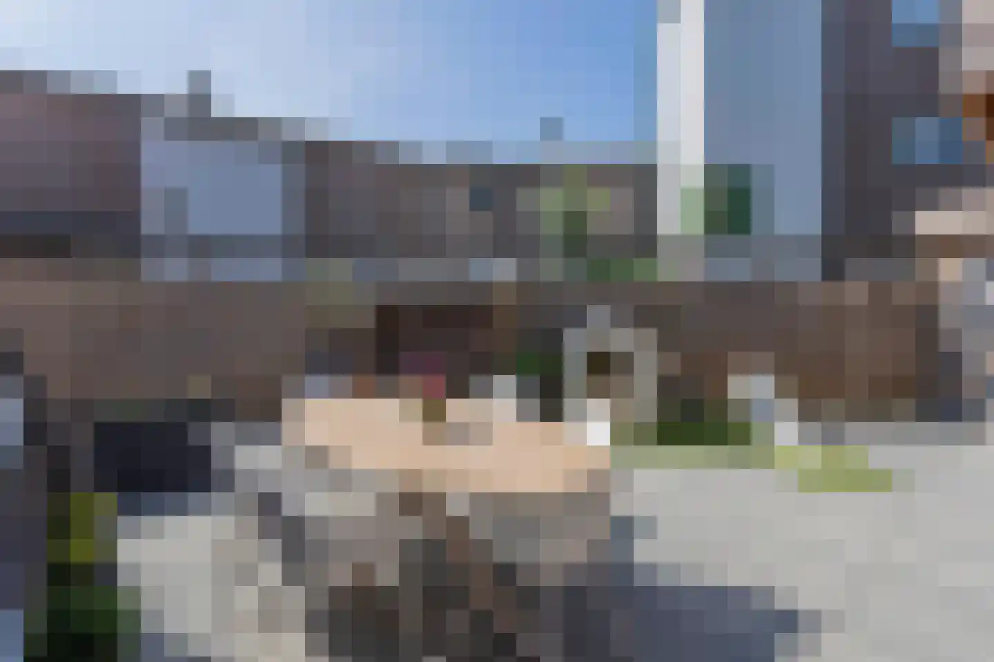 Tolheksbos 170 Hoofddorp thumbnail 39