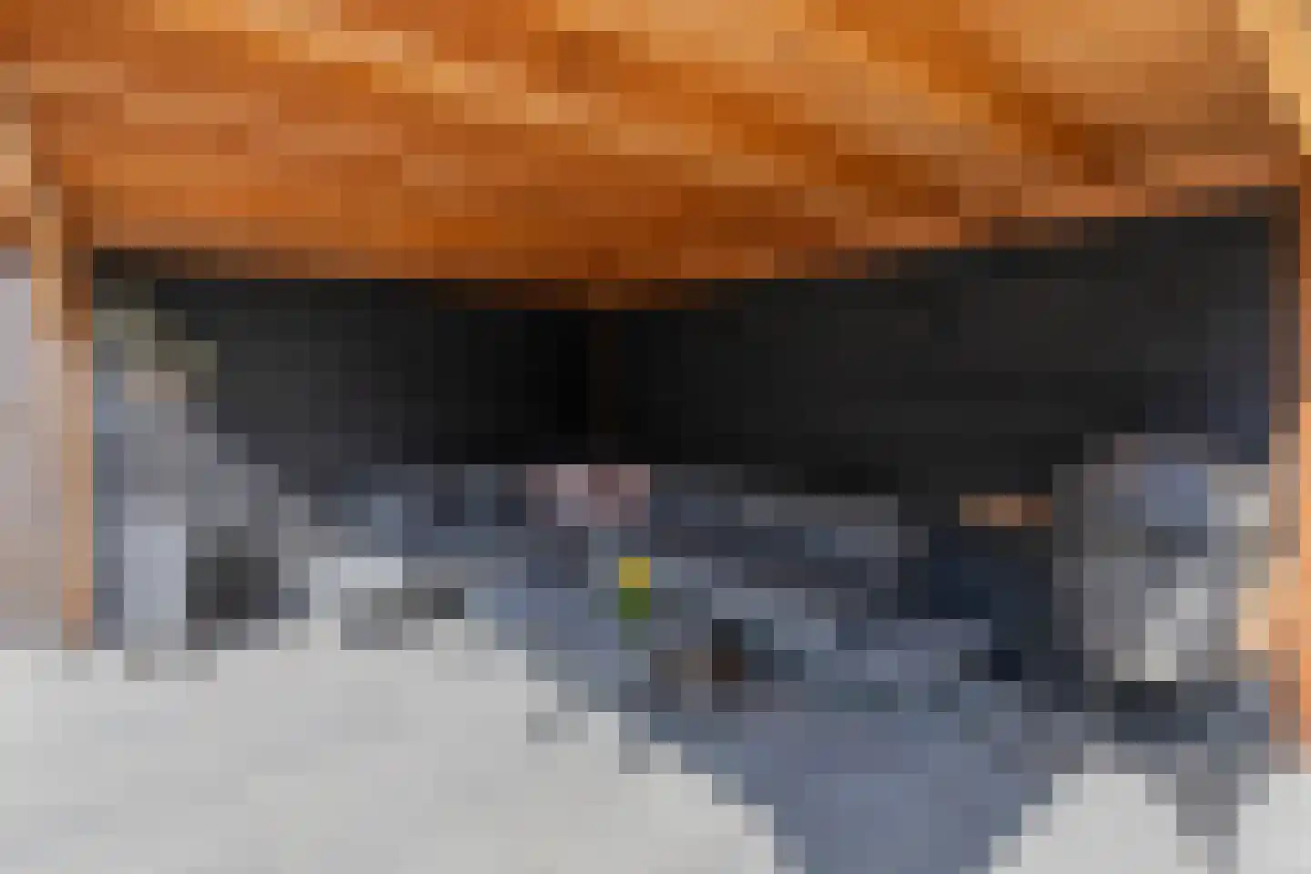 Tolheksbos 170 Hoofddorp thumbnail 42