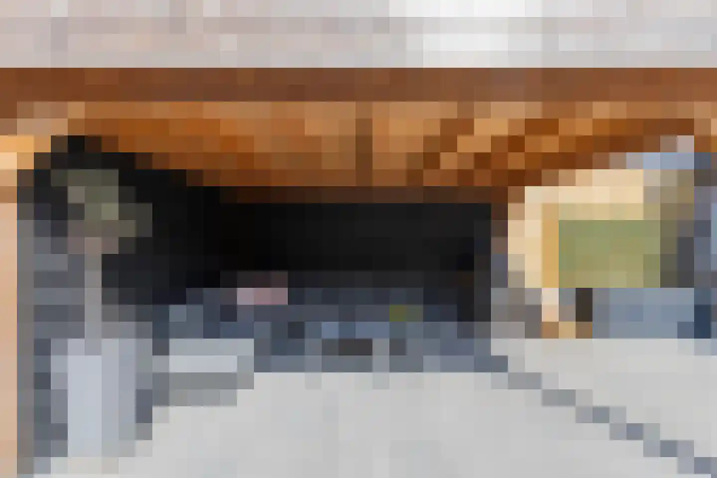 Tolheksbos 170 Hoofddorp thumbnail 43