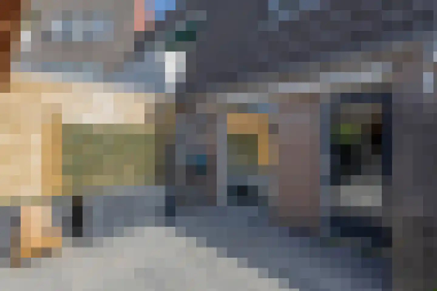 Tolheksbos 170 Hoofddorp thumbnail 49