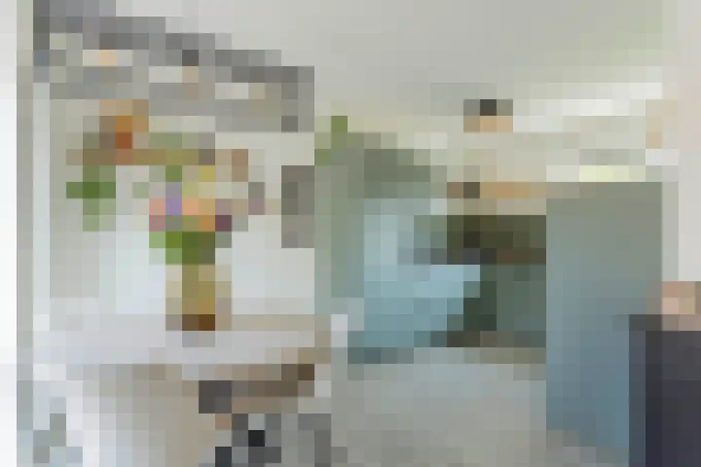 Tolheksbos 170 Hoofddorp thumbnail 9