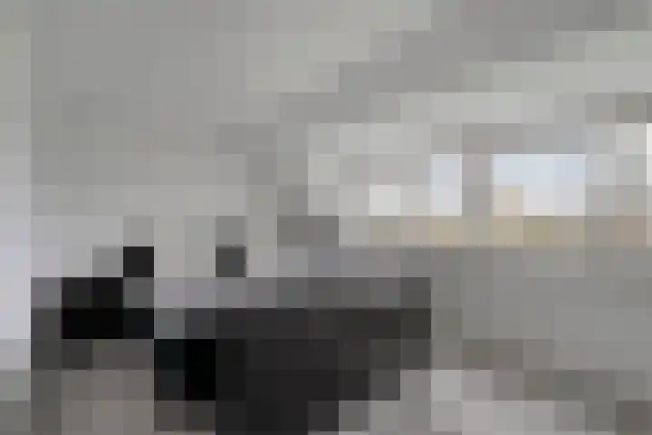 Tolheksbos 19 Hoofddorp thumbnail 16