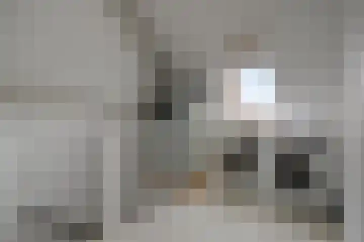Tolheksbos 19 Hoofddorp thumbnail 24