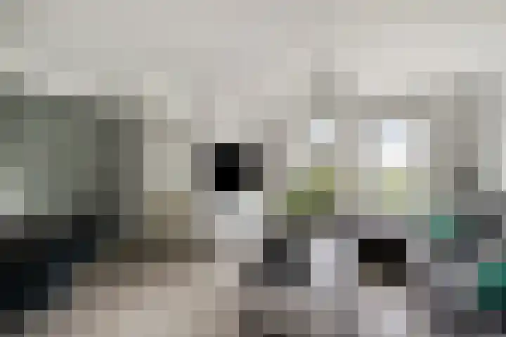 Tolheksbos 19 Hoofddorp thumbnail 5