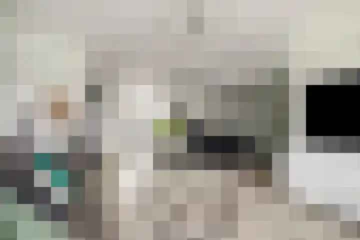 Tolheksbos 19 Hoofddorp thumbnail 6