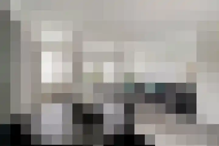 Tolheksbos 19 Hoofddorp thumbnail 7