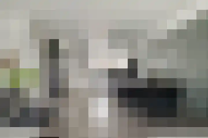Tolheksbos 19 Hoofddorp thumbnail 8