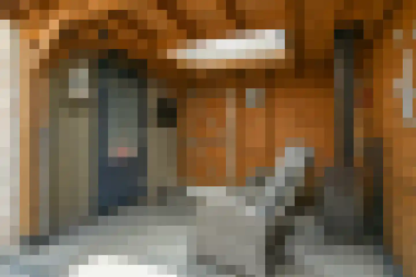 Tolheksbos 27 Hoofddorp thumbnail 23