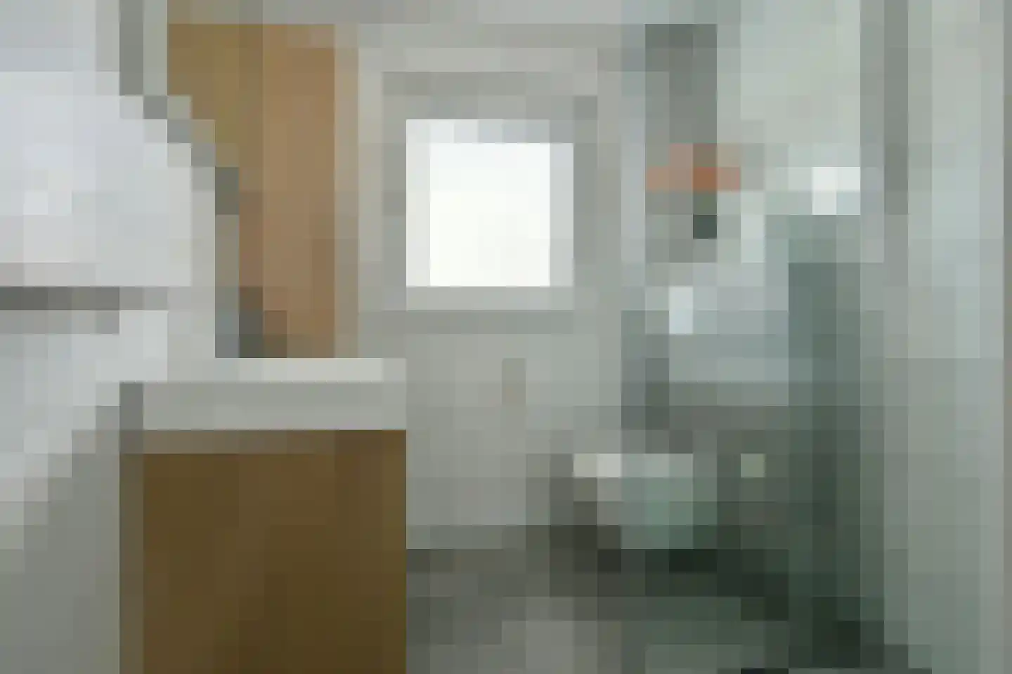 Tolheksbos 27 Hoofddorp thumbnail 27