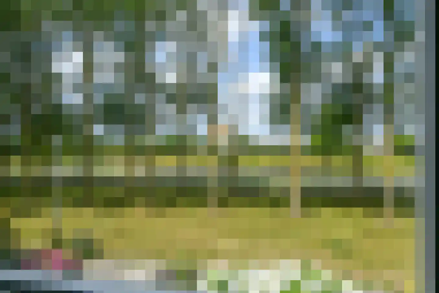 Tolheksbos 27 Hoofddorp thumbnail 33