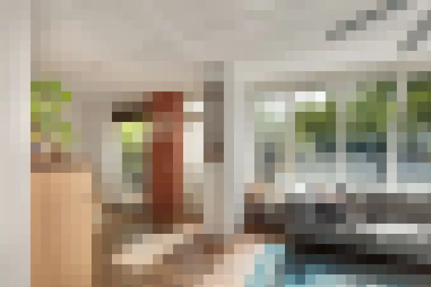 Tolheksbos 68 Hoofddorp thumbnail 10