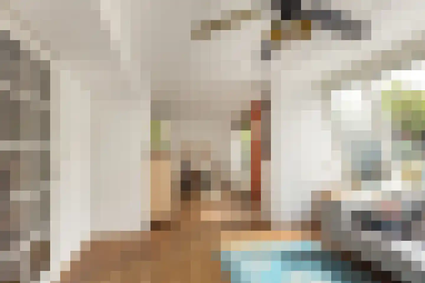Tolheksbos 68 Hoofddorp thumbnail 13