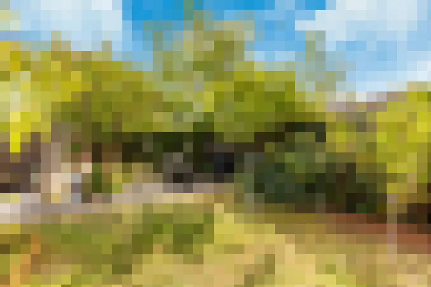 Tolheksbos 68 Hoofddorp thumbnail 20