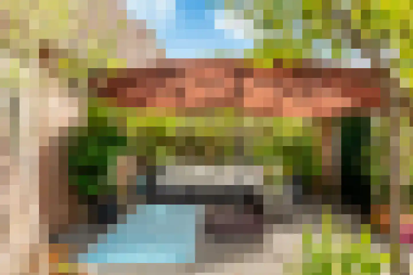 Tolheksbos 68 Hoofddorp thumbnail 21