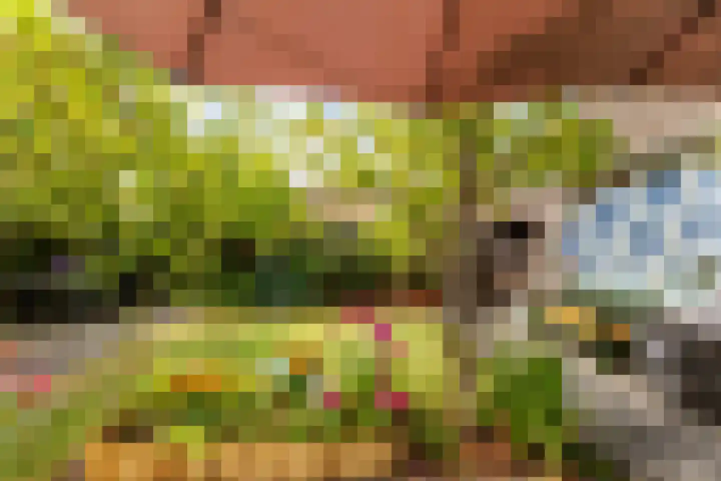 Tolheksbos 68 Hoofddorp thumbnail 22