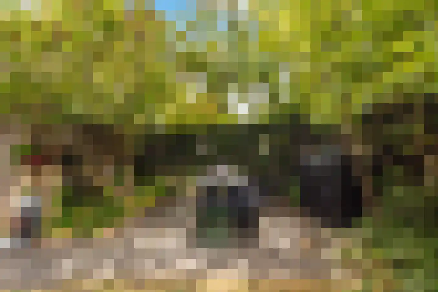 Tolheksbos 68 Hoofddorp thumbnail 25